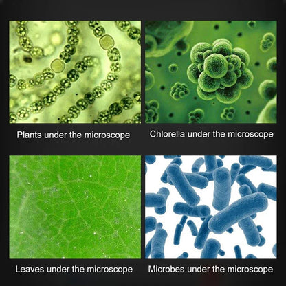 Microscope Éducatif pour Enfants – Science Kit Complet avec LED (100x, 400x, 1200x)